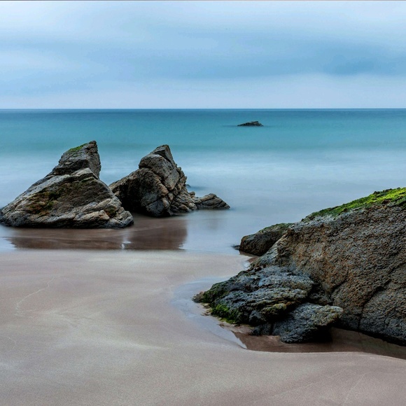 Meet your Posher, Heidi - Picture 1 of 1